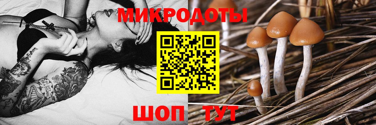 Галлюциногенные грибы Magic Shrooms Североуральск