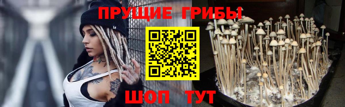 Североуральск  Псилоцибиновые грибы Magic Shrooms  Вход с VPN 